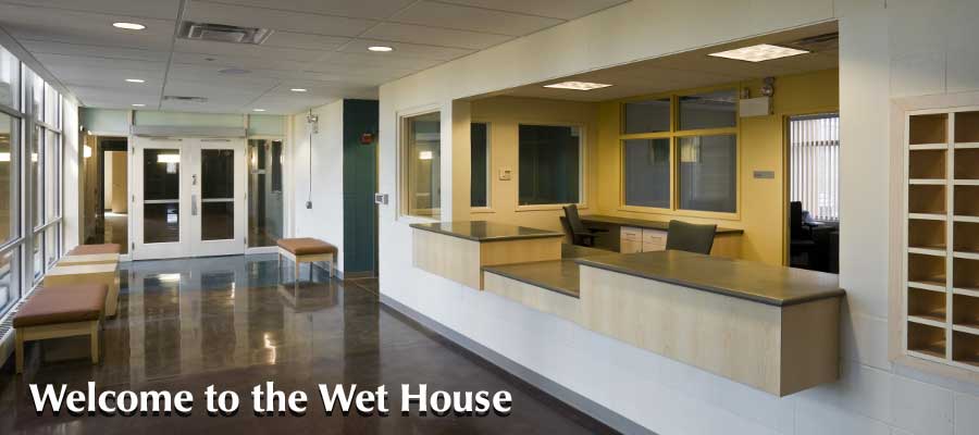 Welcome to the Wet House